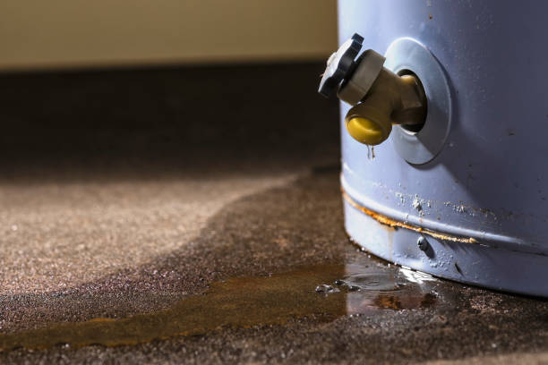 Water damage restoration process in Jacksonville, IL
