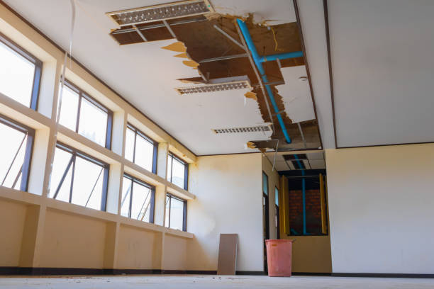 Best 24-hour water damage restoration  in Jacksonvle, IL