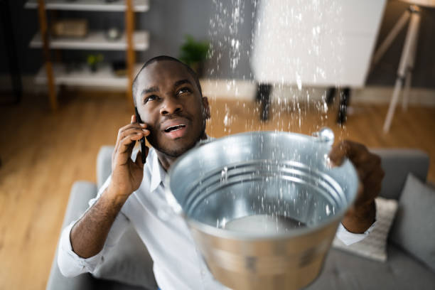Best Flooded house restoration  in Jacksonvle, IL