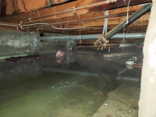 Water damage restoration experts in Jacksonville, IL