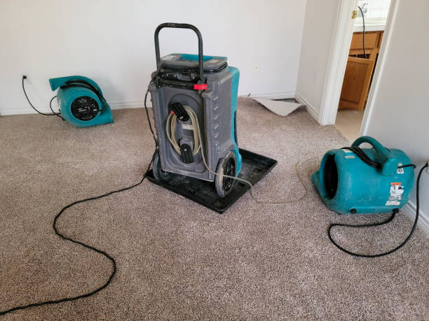 Best Water damage cleanup near me  in Jacksonvle, IL