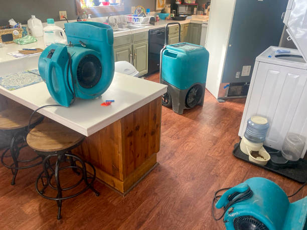 Best 24/7 water damage repair  in Jacksonvle, IL