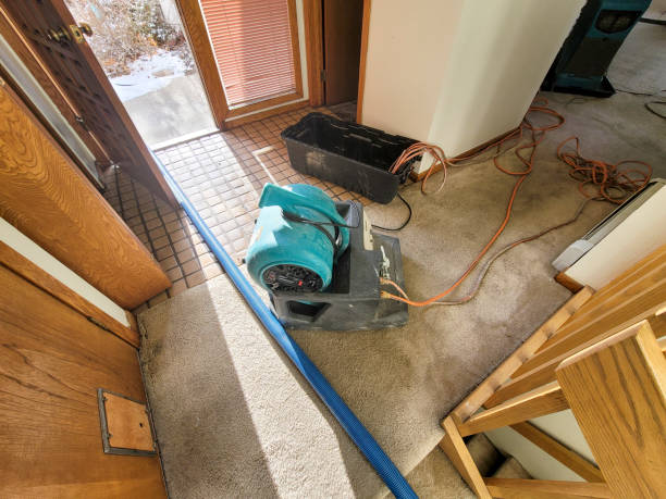 Best Water damage restoration process  in Jacksonvle, IL