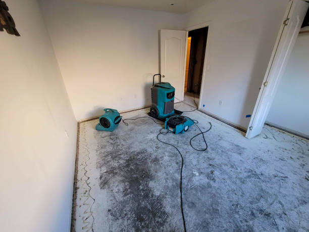 Best Water damage repair service  in Jacksonvle, IL