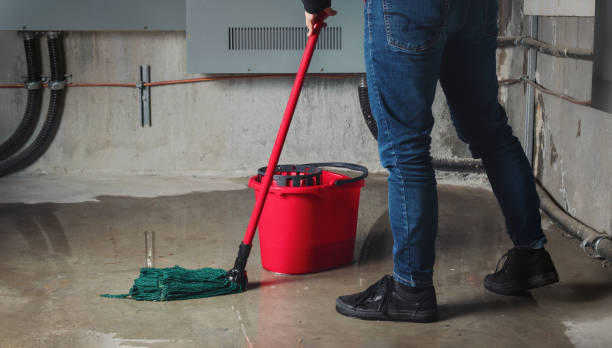 Best Mold removal after water damage  in Jacksonvle, IL