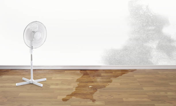 Best Water damage restoration experts  in Jacksonvle, IL