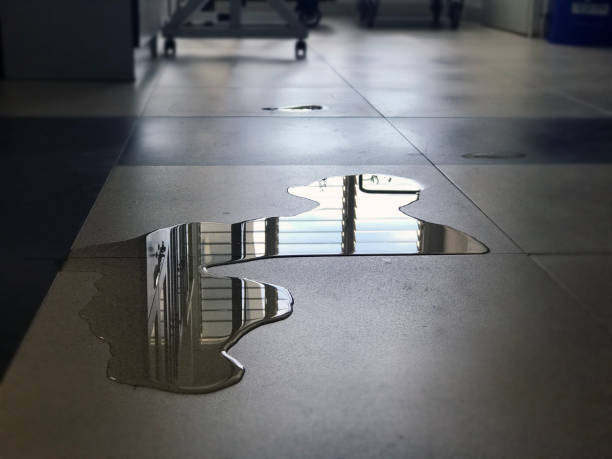 Best Water damage contractors near me  in Jacksonvle, IL