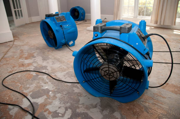 Best Flood restoration services  in Jacksonvle, IL