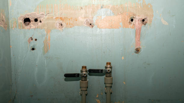 Best Ceiling water damage repair  in Jacksonvle, IL