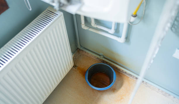 Best Basement water damage restoration  in Jacksonvle, IL