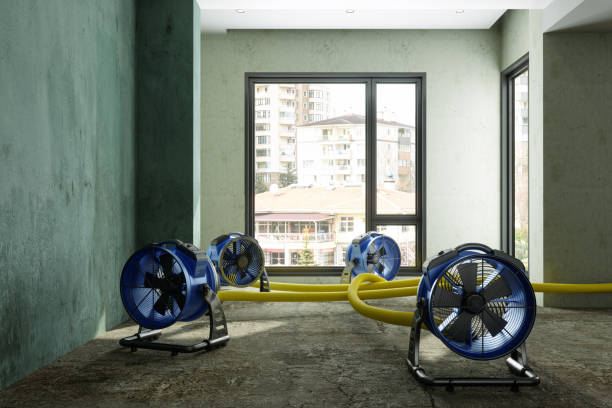 Local water damage restoration in Jacksonville, IL